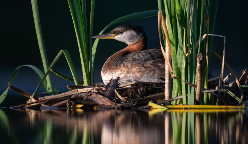 photo representing organization