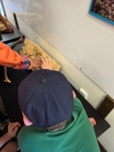 child in blue baseball cap inspects a piece of wood